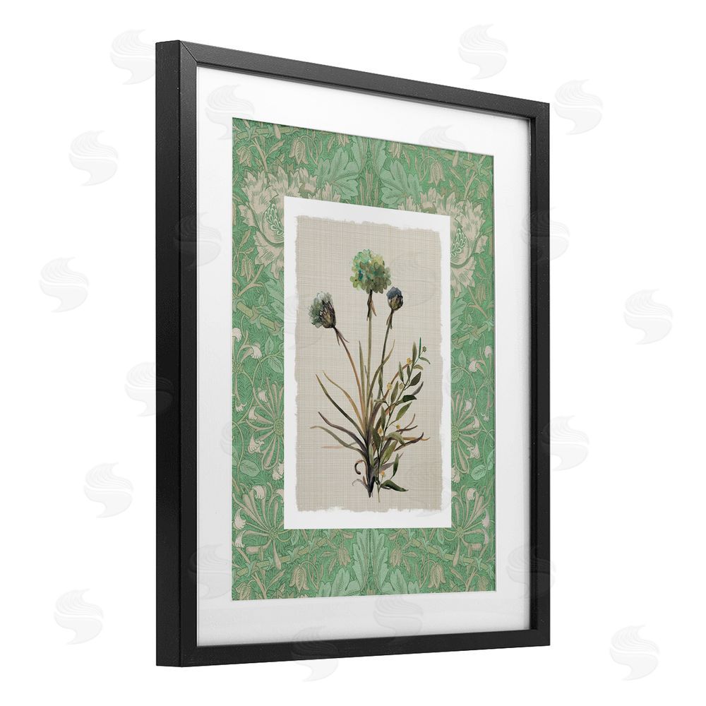 Carol Robinson Vintage Foliage in Green Black Framed Print Under Glass Wall Art
