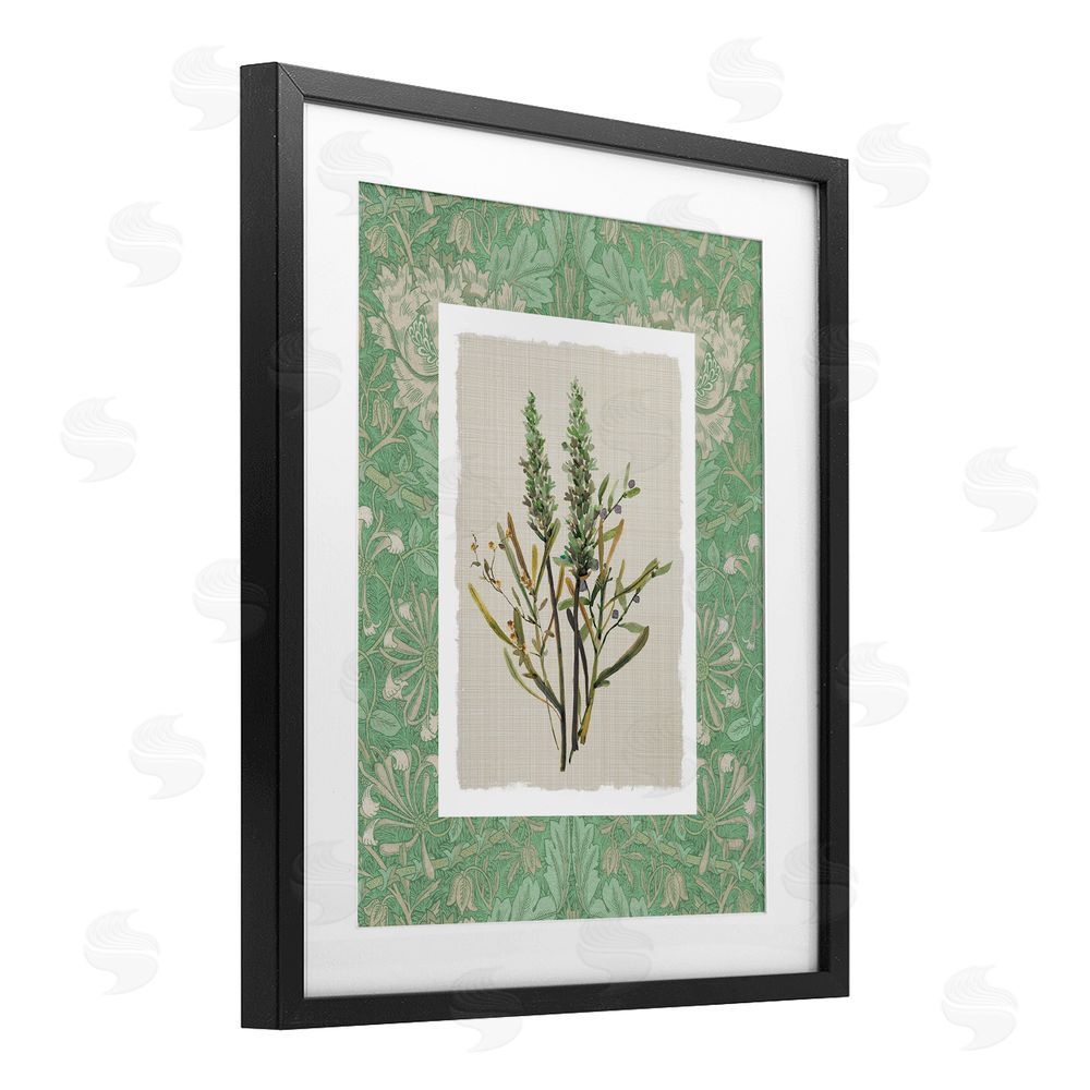 Carol Robinson Antique Foliage in Green Black Framed Print Under Glass Wall Art