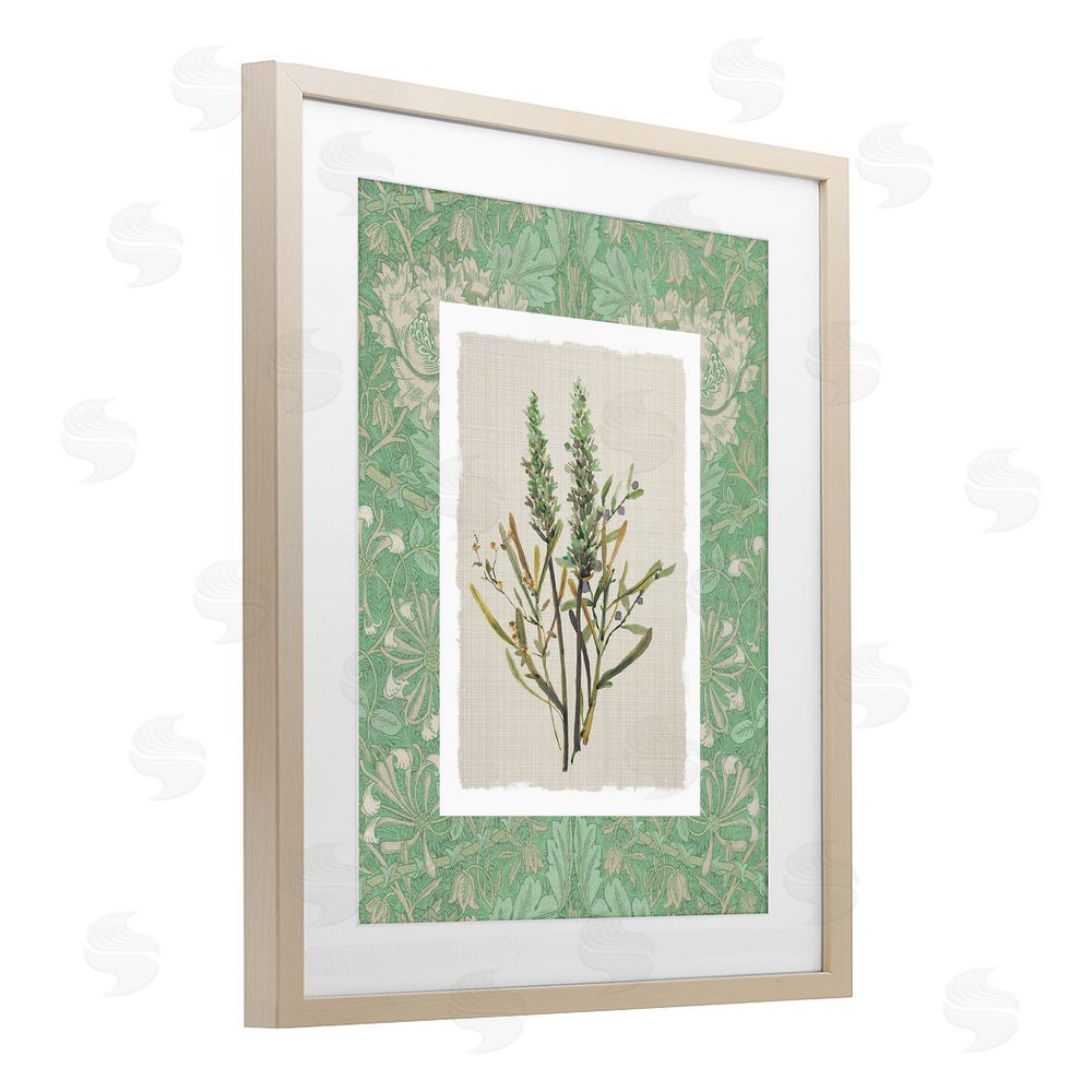 Carol Robinson Antique Foliage in Green Brown Framed Print Under Glass Wall Art