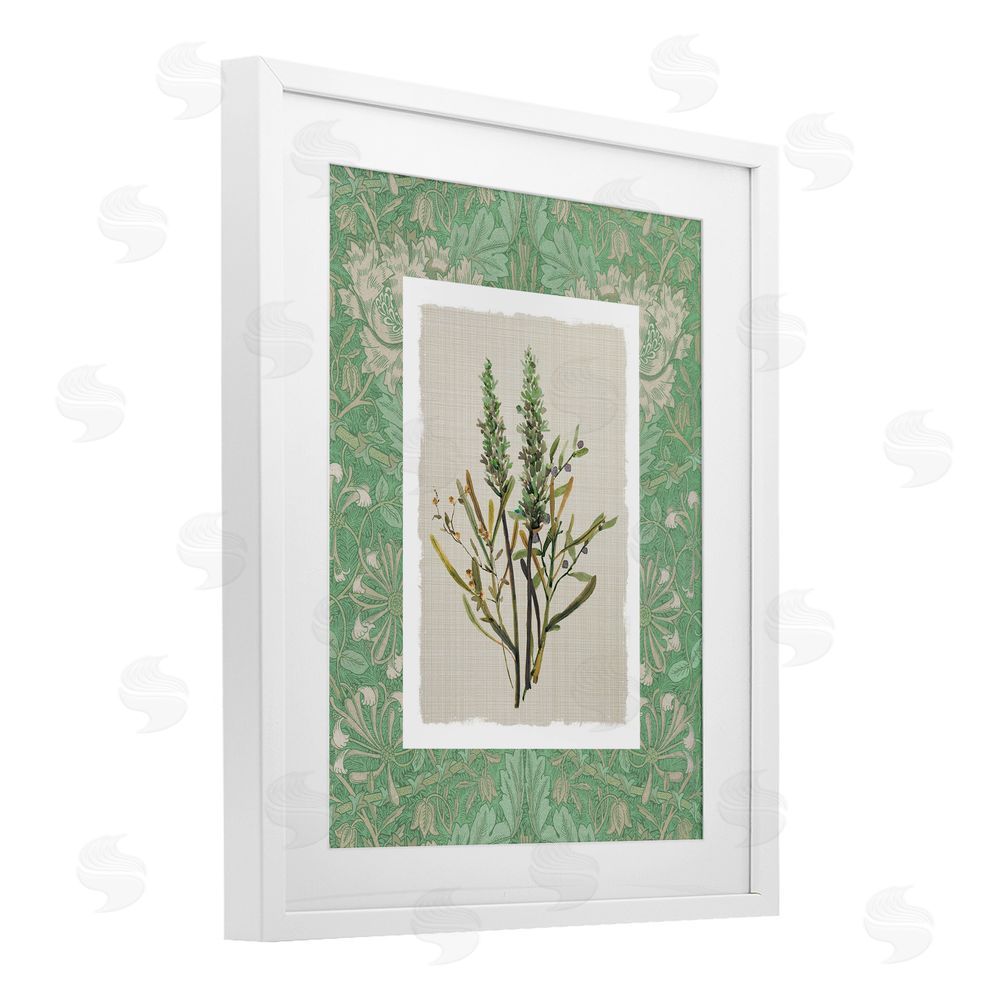 Carol Robinson Antique Foliage in Green White Framed Print Under Glass Wall Art