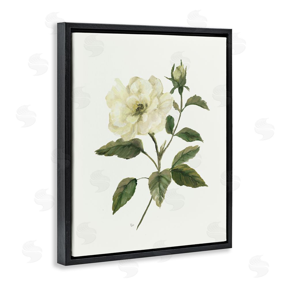Nan Ivory Rose Bloom With Green Foliage Black Floating Frame Canvas Wall Art Print