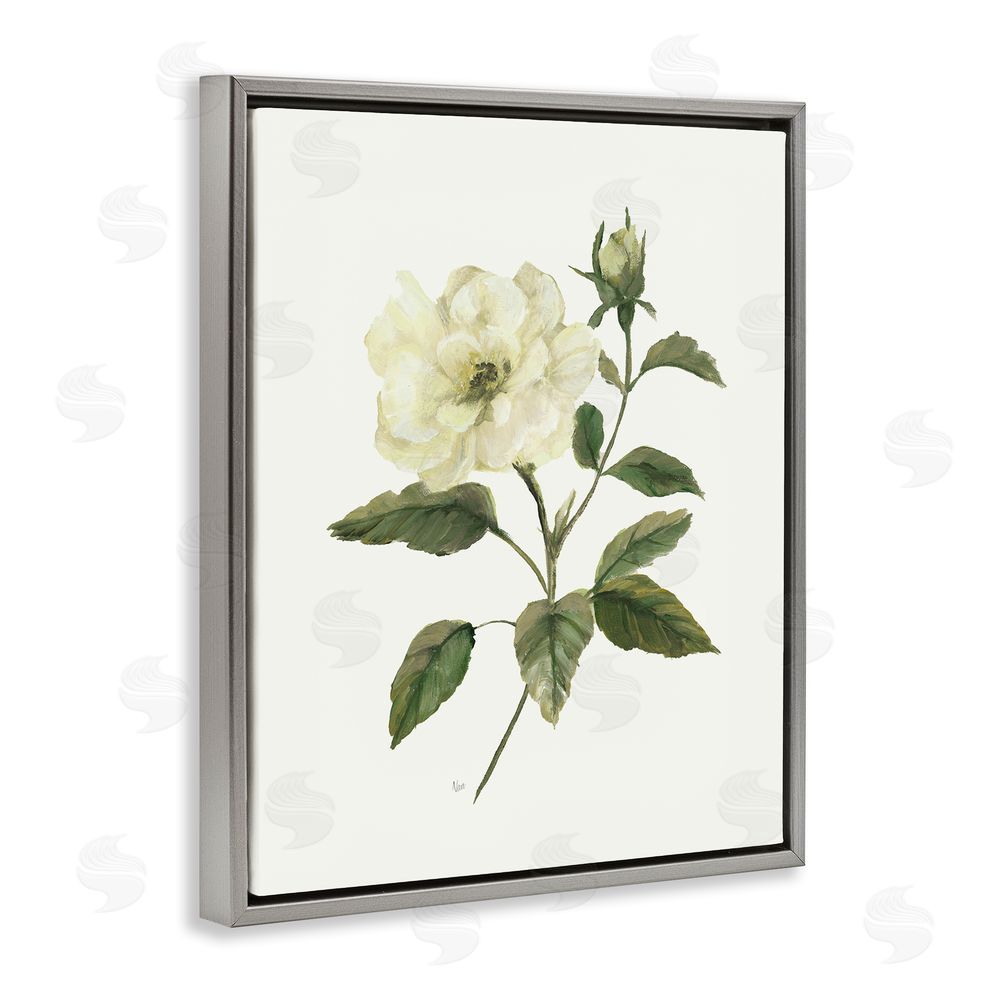 Nan Ivory Rose Bloom With Green Foliage Gray Floating Frame Canvas Wall Art Print