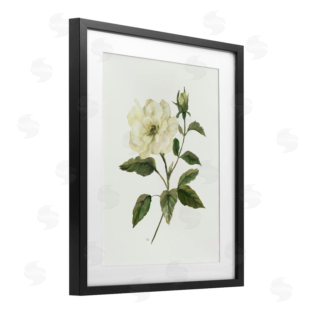 Nan Ivory Rose Bloom With Green Foliage Black Framed Print Under Glass Wall Art