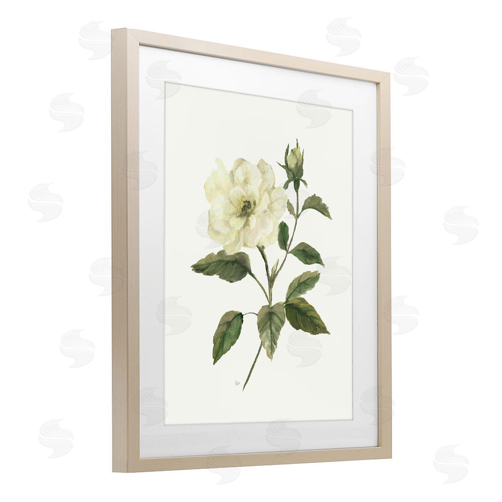 Nan Ivory Rose Bloom With Green Foliage Brown Framed Print Under Glass Wall Art