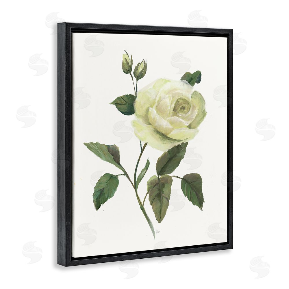 Nan Cream Garden Rose with Buds Black Floating Frame Canvas Wall Art Print