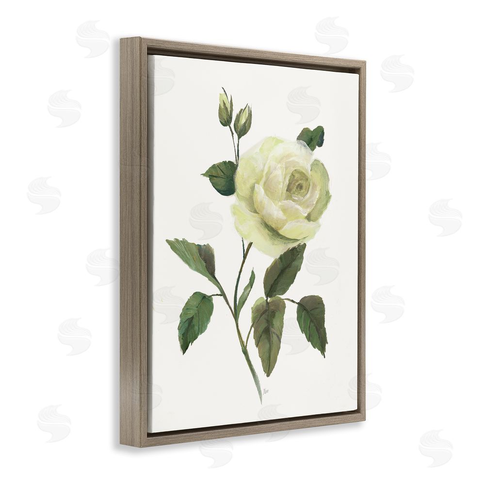 Nan Cream Garden Rose with Buds Brown Floating Frame Canvas Wall Art Print