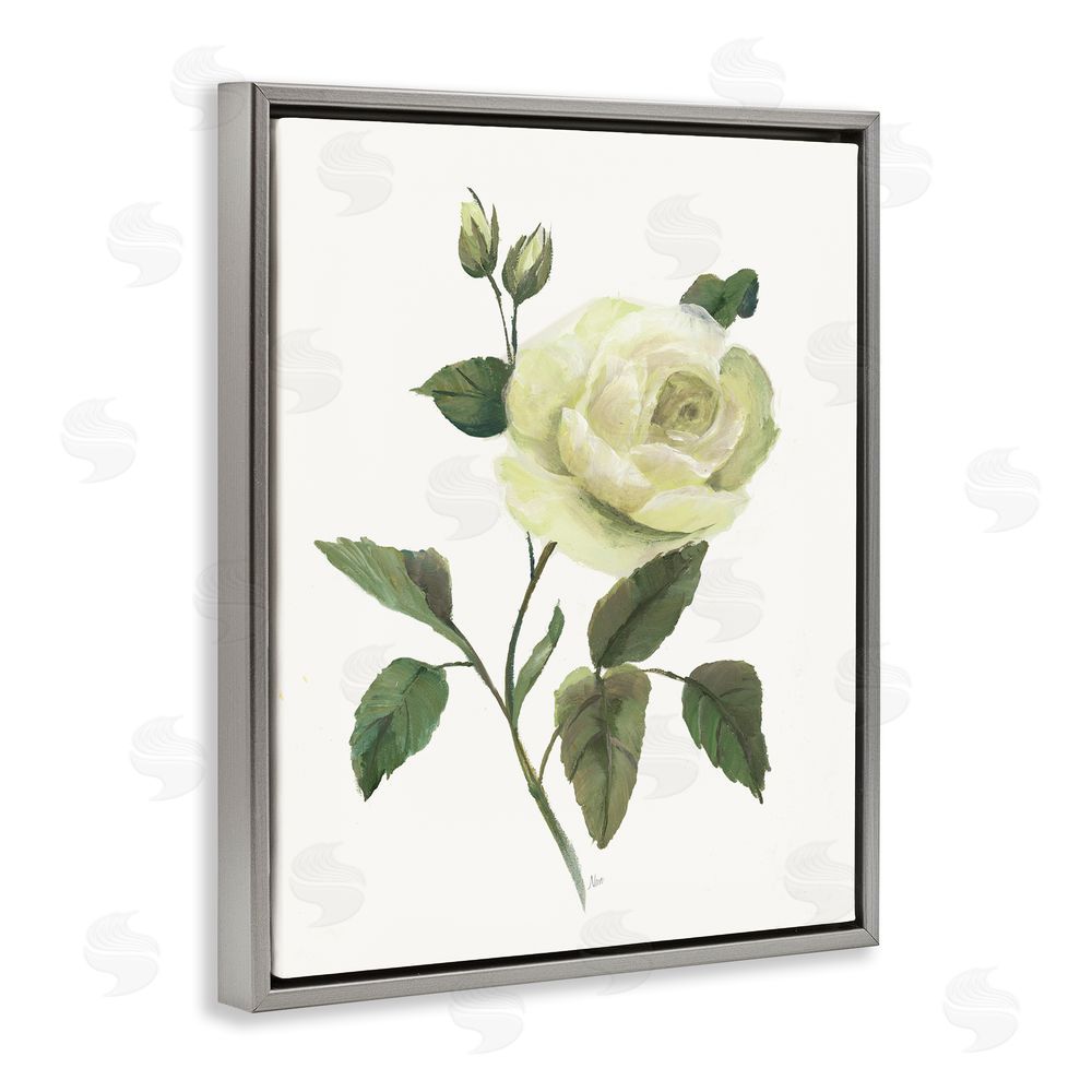 Nan Cream Garden Rose with Buds Gray Floating Frame Canvas Wall Art Print