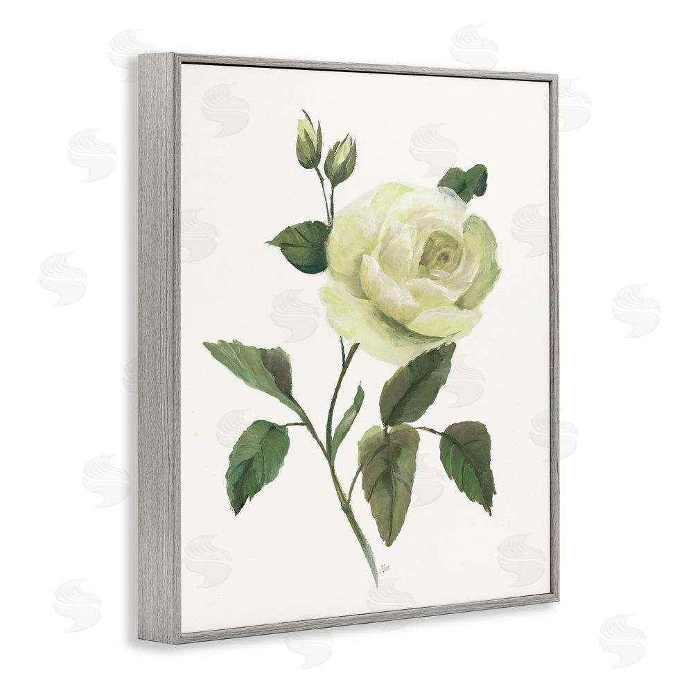 Nan Cream Garden Rose with Buds Gray Framed Giclee Wall Art Print