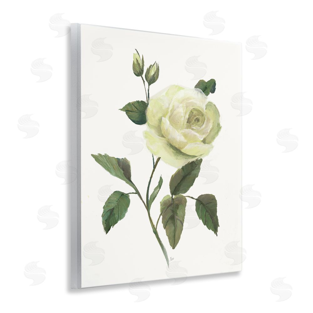 Nan Cream Garden Rose with Buds Wooden Wall Plaque Art Print