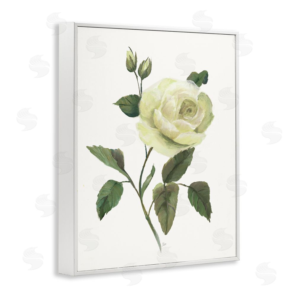 Nan Cream Garden Rose with Buds White Framed Giclee Wall Art Print