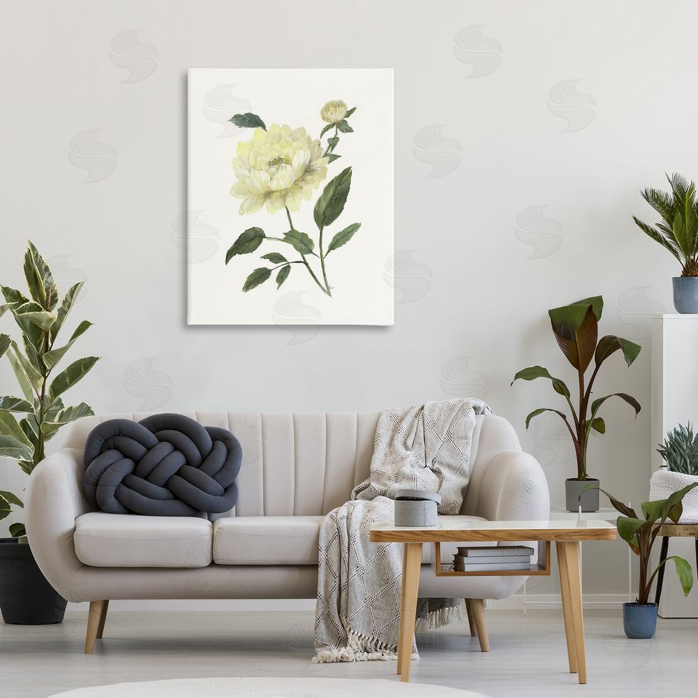 Nan Cream Garden Peony with Buds 
