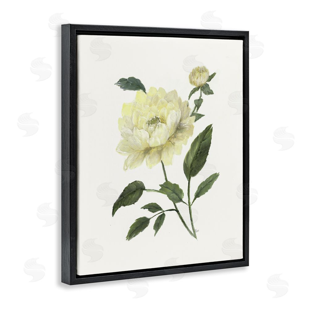 Nan Cream Garden Peony with Buds Black Floating Frame Canvas Wall Art Print