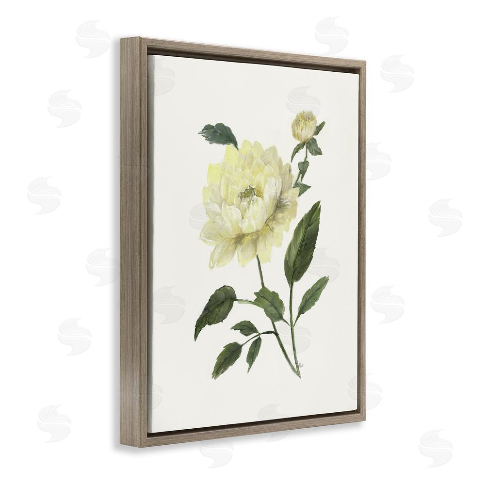 Nan Cream Garden Peony with Buds Brown Floating Frame Canvas Wall Art Print