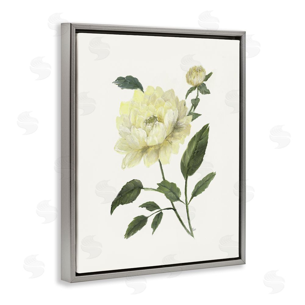Nan Cream Garden Peony with Buds Gray Floating Frame Canvas Wall Art Print