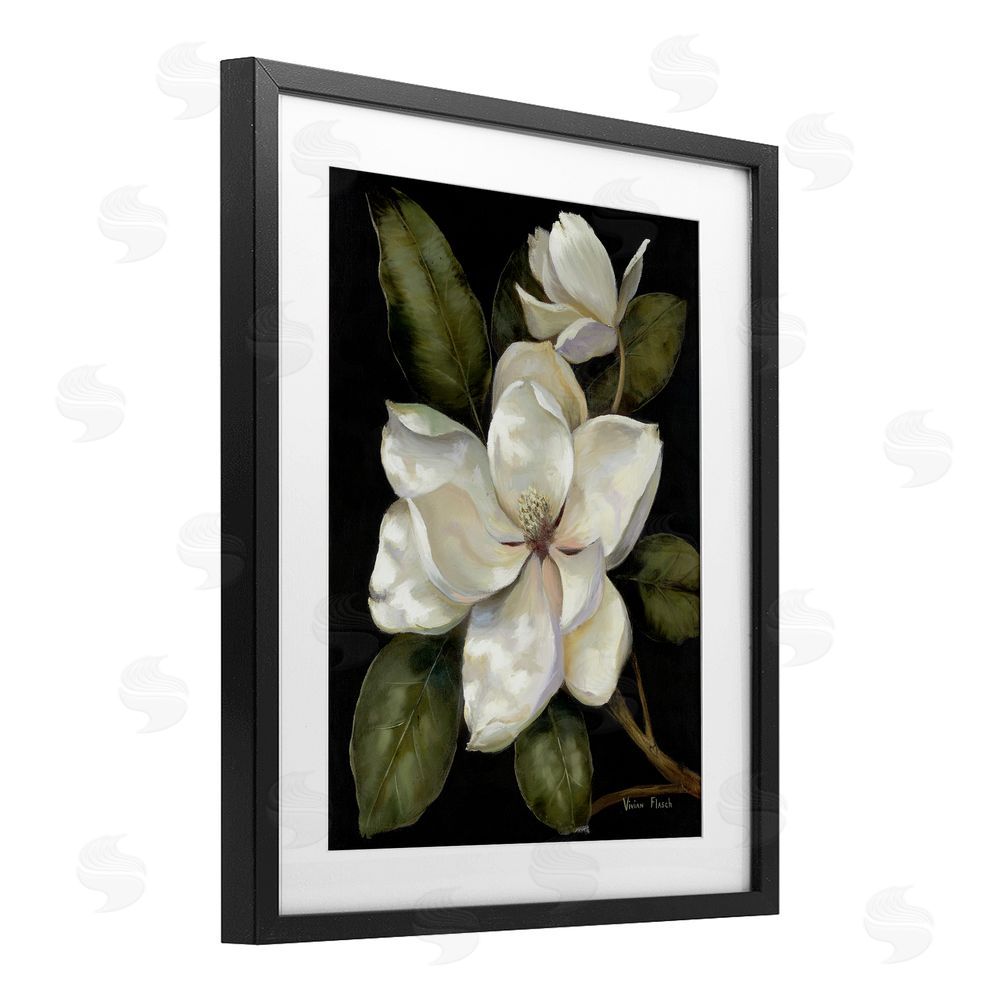Nan Blooming Magnolia Buds Black Framed Print Under Glass Wall Art