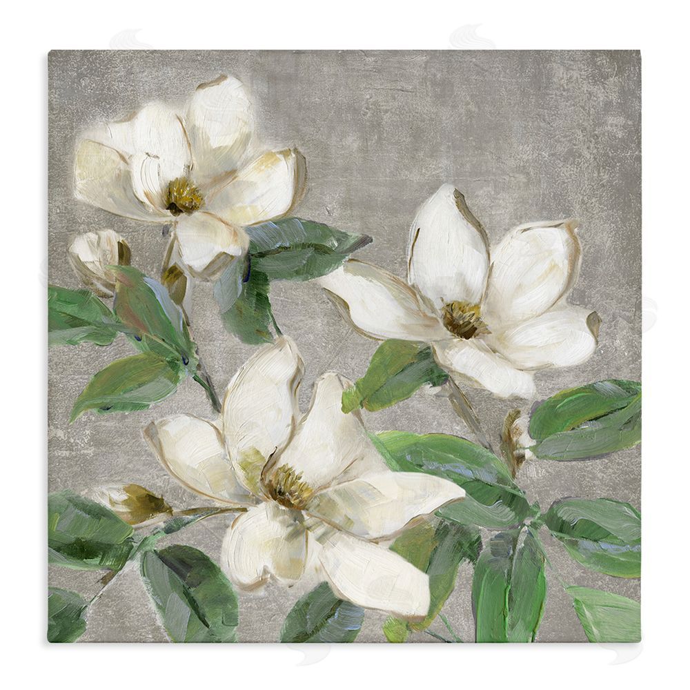 Sally Swatland Ivory Magnolias on Grey Stretched Canvas Wall Art Print