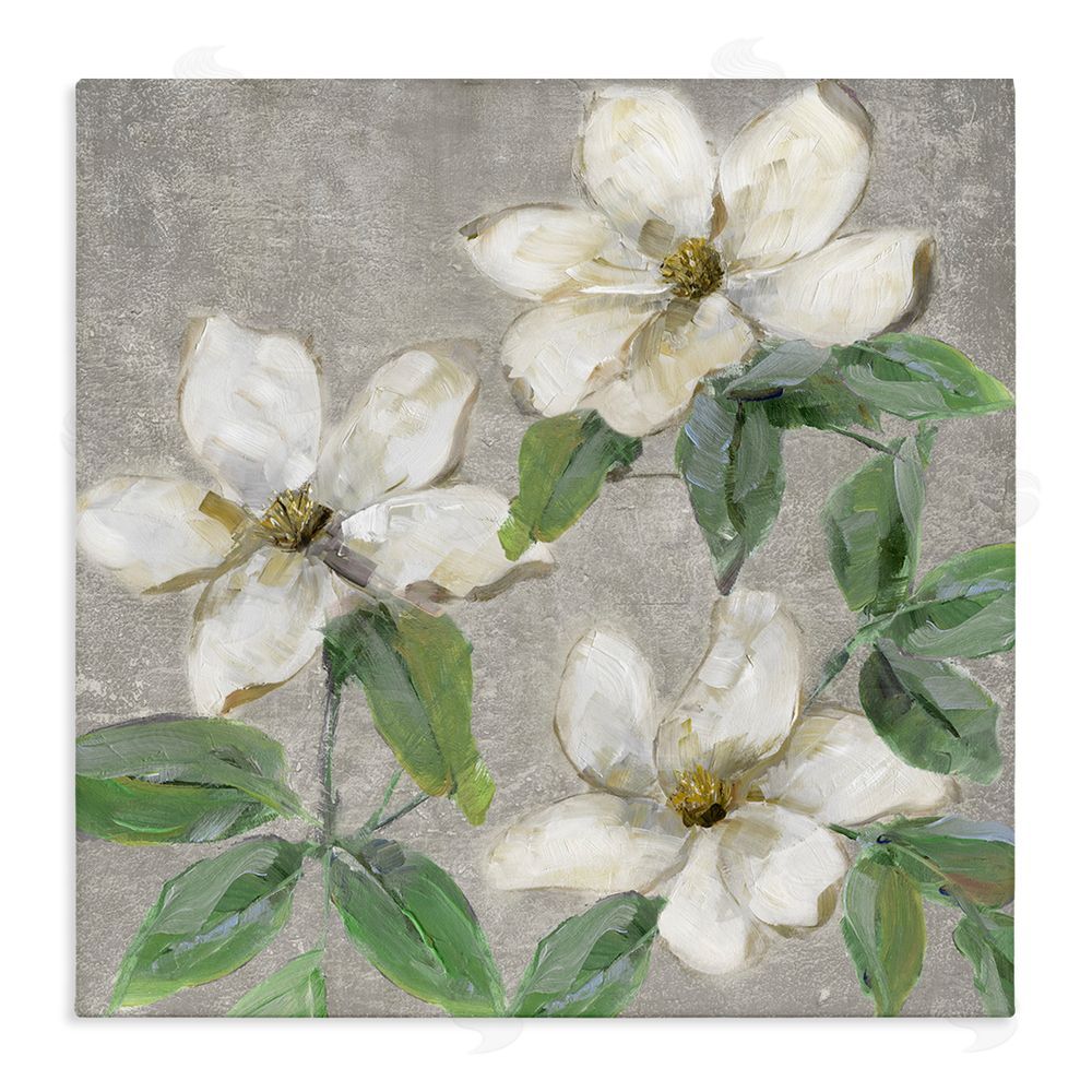 Sally Swatland Ivory Magnolia Trio Stretched Canvas Wall Art Print