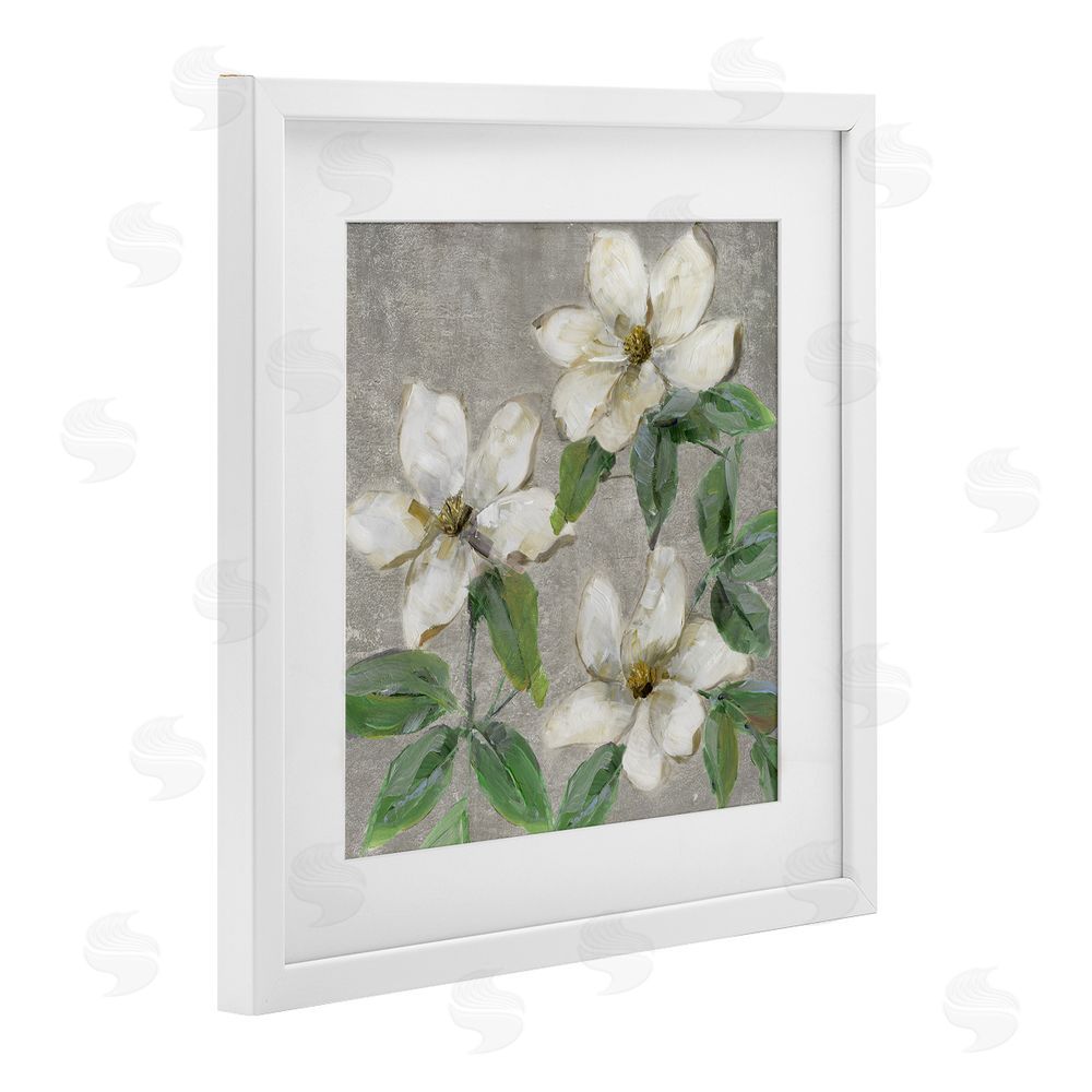 Sally Swatland Ivory Magnolia Trio White Framed Print Under Glass Wall Art