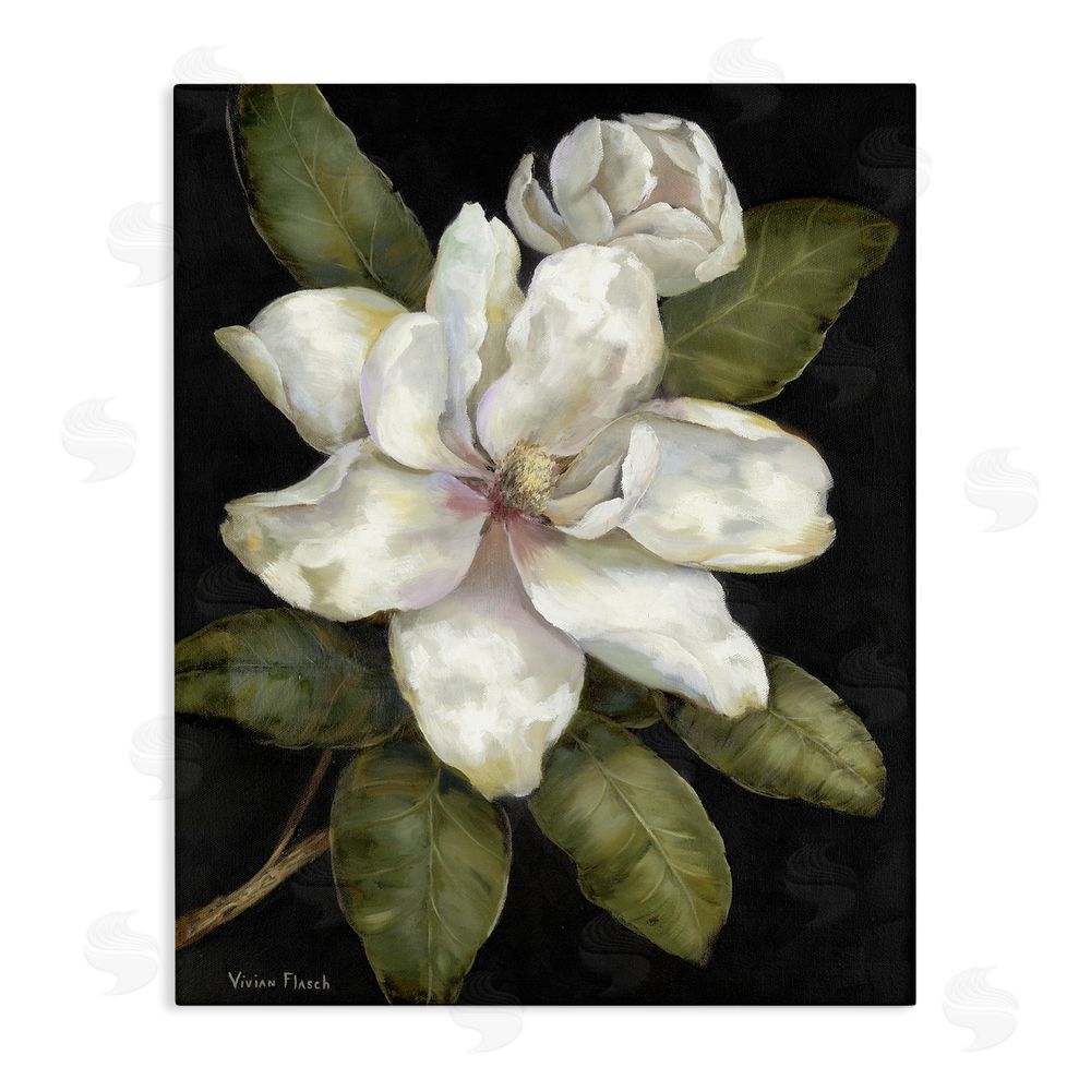 Nan Budding Magnolia Blooms Stretched Canvas Wall Art Print