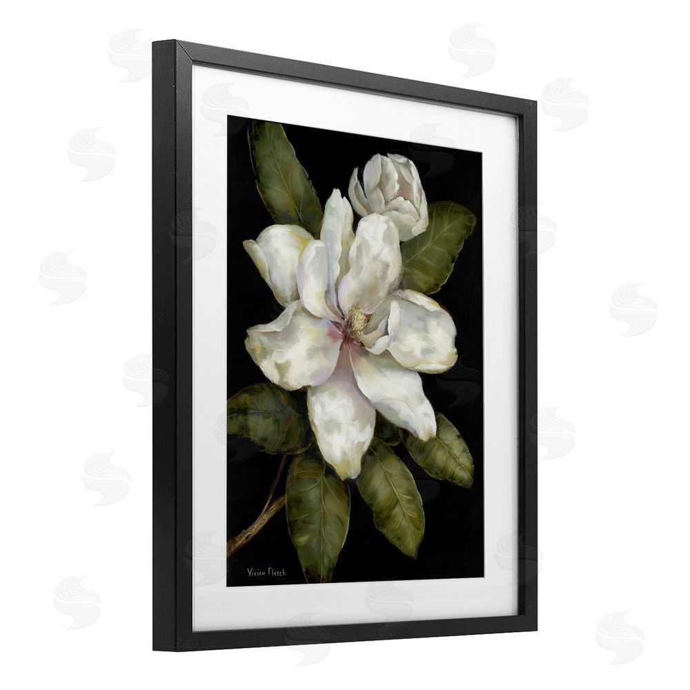 Nan Budding Magnolia Blooms Black Framed Print Under Glass Wall Art