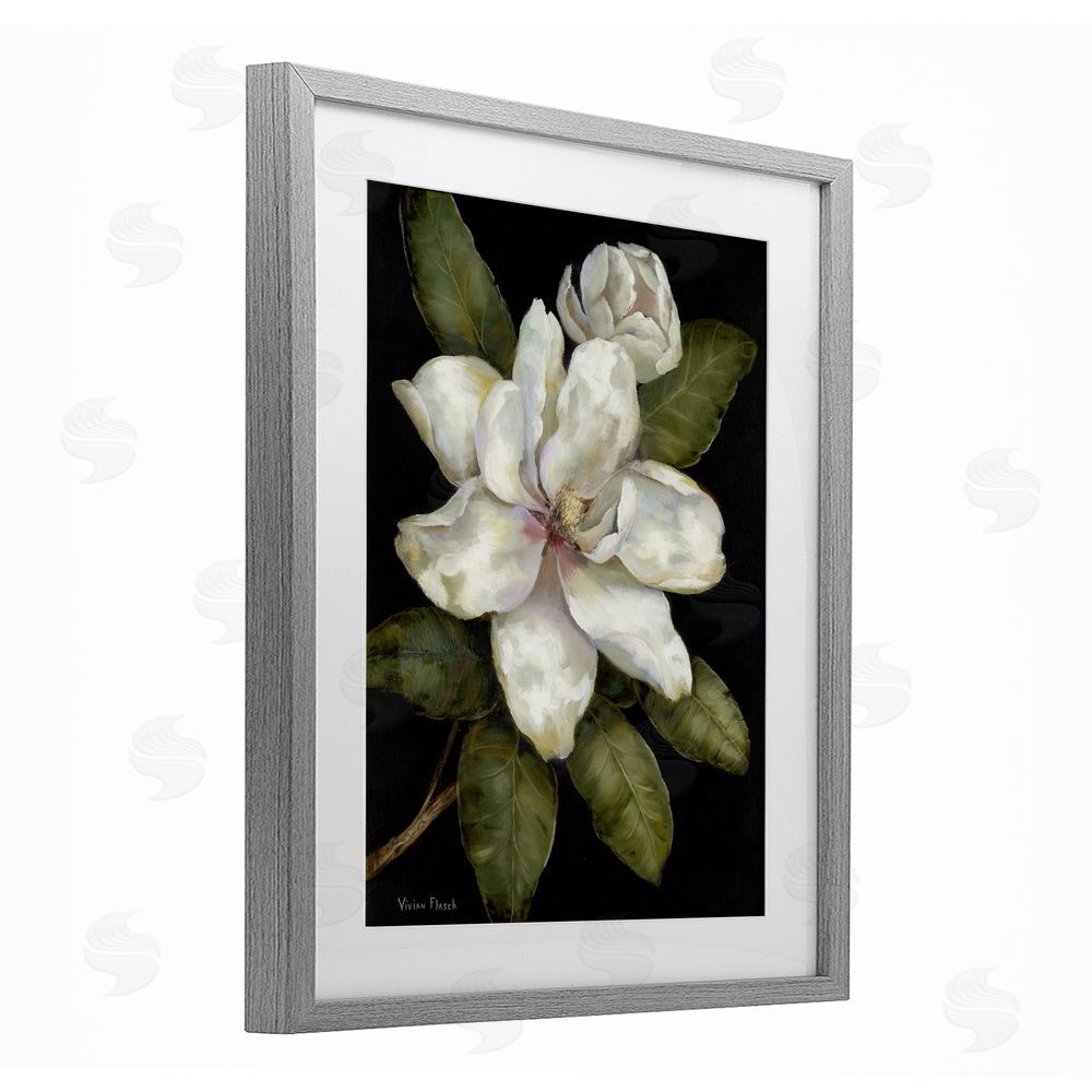 Nan Budding Magnolia Blooms Gray Framed Print Under Glass Wall Art