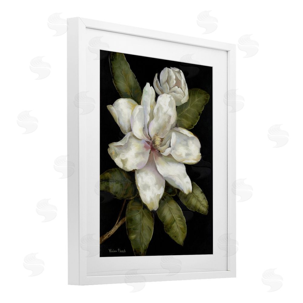 Nan Budding Magnolia Blooms White Framed Print Under Glass Wall Art