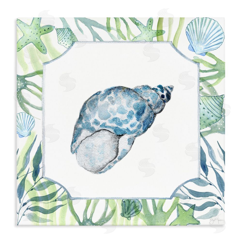 Janet Tava Spotted Cowrie with Seaweed Stretched Canvas Wall Art Print
