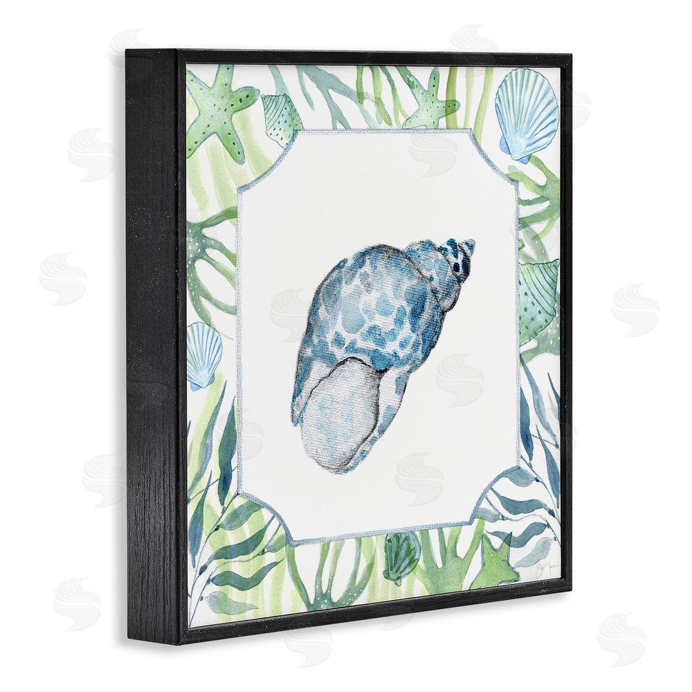 Janet Tava Spotted Cowrie with Seaweed Black Framed Giclee Wall Art Print