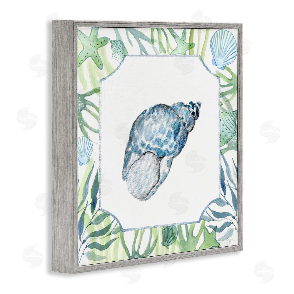 Janet Tava Spotted Cowrie with Seaweed Gray Framed Giclee Wall Art Print