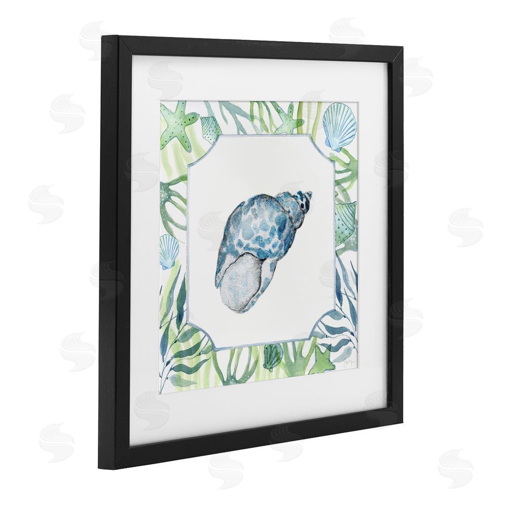 Janet Tava Spotted Cowrie with Seaweed Black Framed Print Under Glass Wall Art