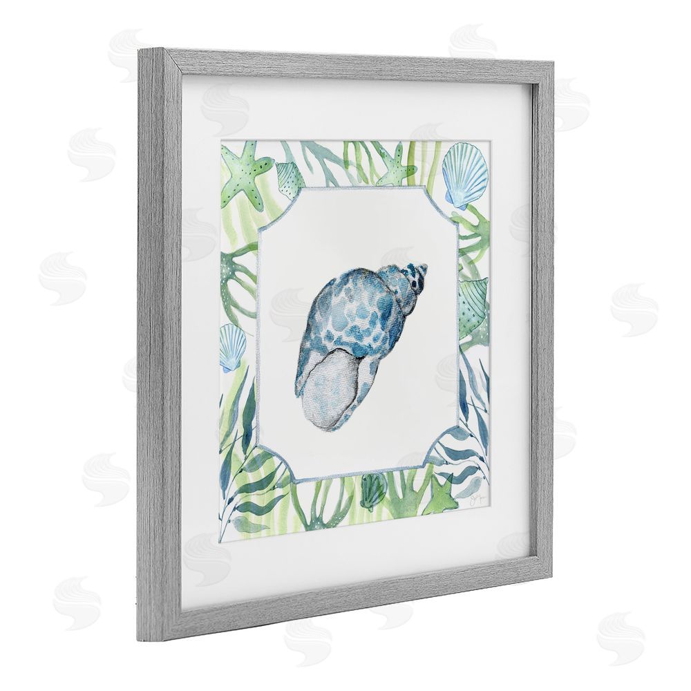 Janet Tava Spotted Cowrie with Seaweed Gray Framed Print Under Glass Wall Art