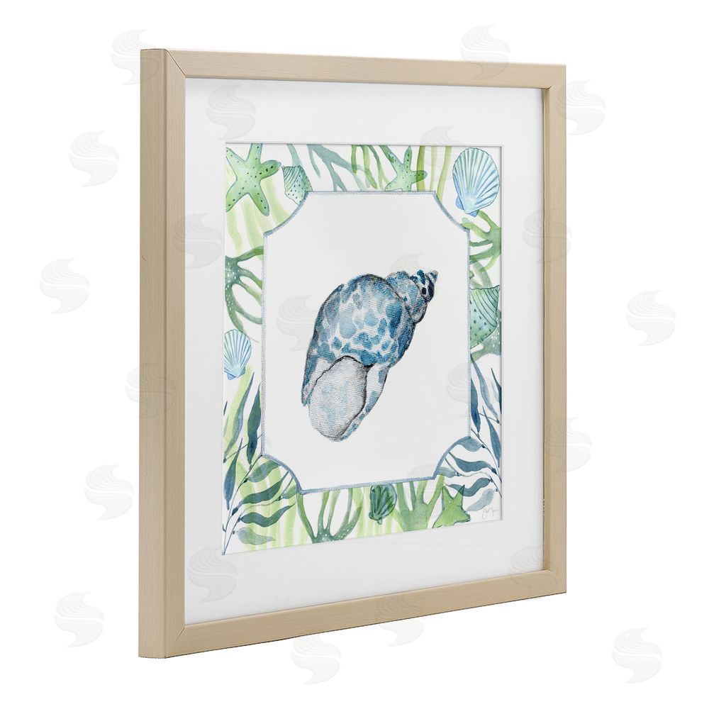 Janet Tava Spotted Cowrie with Seaweed Brown Framed Print Under Glass Wall Art