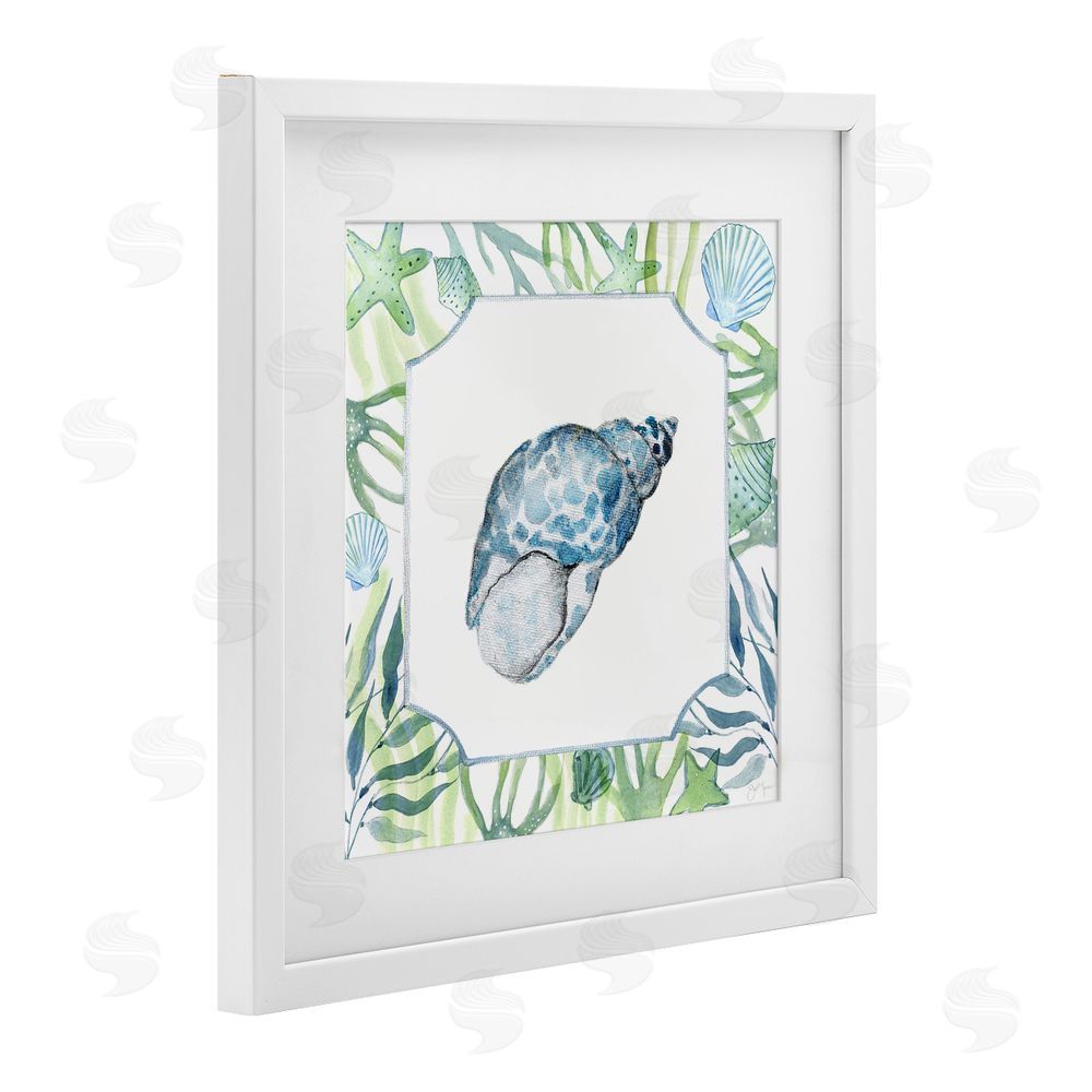 Janet Tava Spotted Cowrie with Seaweed White Framed Print Under Glass Wall Art