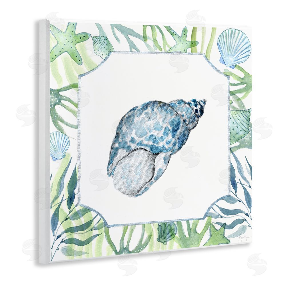 Janet Tava Spotted Cowrie with Seaweed Wooden Wall Plaque Art Print