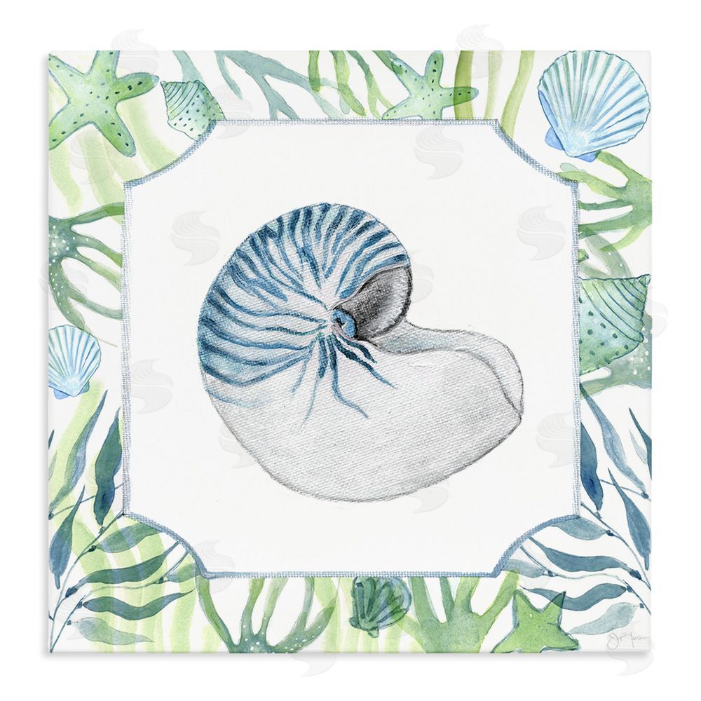 Janet Tava Seaweed & Seashells Aquatic Stretched Canvas Wall Art Print