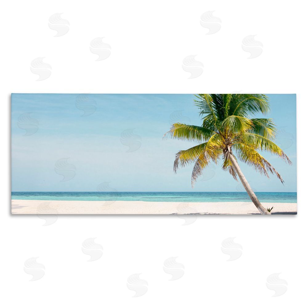 Danita Delimont Tropical Island Palm Tree Stretched Canvas Wall Art Print