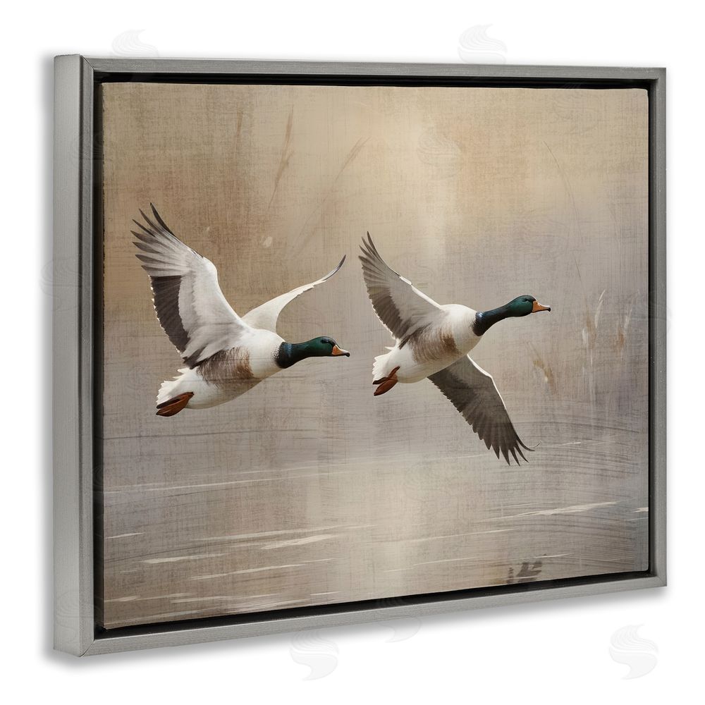 Susan Arnot Mallard Ducks over Pond Gray Floating Frame Canvas Wall Art Print
