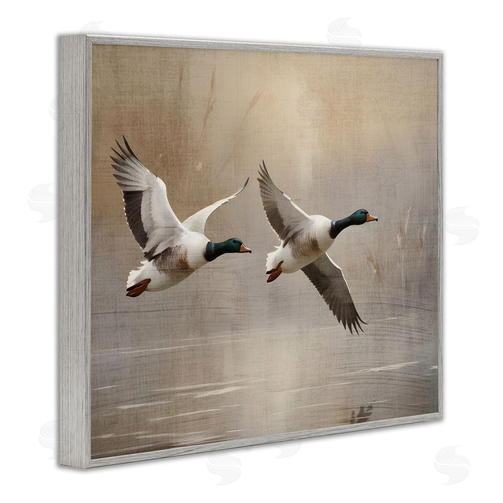 Susan Arnot Mallard Ducks over Pond Gray Framed Giclee Wall Art Print