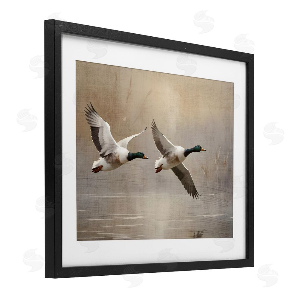 Susan Arnot Mallard Ducks over Pond Black Framed Print Under Glass Wall Art