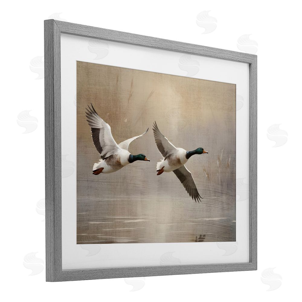 Susan Arnot Mallard Ducks over Pond Gray Framed Print Under Glass Wall Art