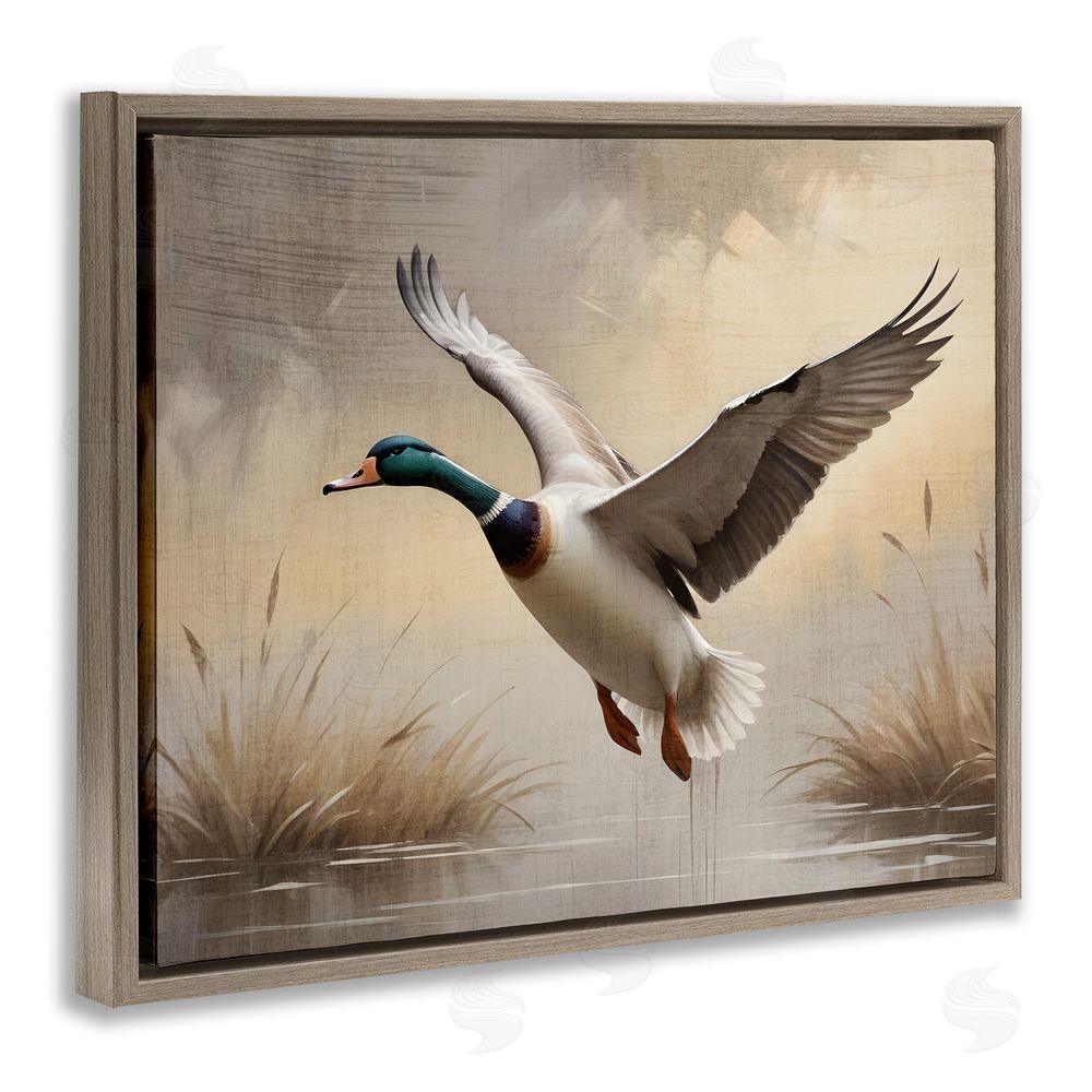 Susan Arnot Gliding Mallard over Wetlands Brown Floating Frame Canvas Wall Art Print