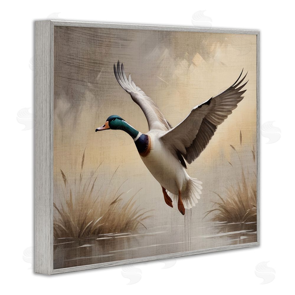 Susan Arnot Gliding Mallard over Wetlands Gray Framed Giclee Wall Art Print
