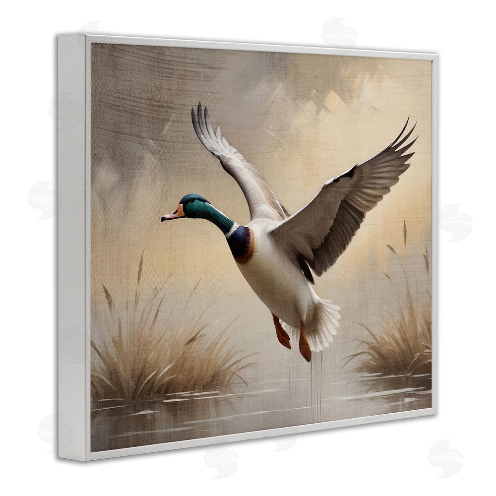 Susan Arnot Gliding Mallard over Wetlands White Framed Giclee Wall Art Print