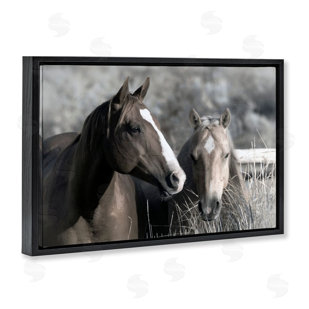 Danita Delimont Content Horses In Pasture Black Floating Frame Canvas Wall Art Print