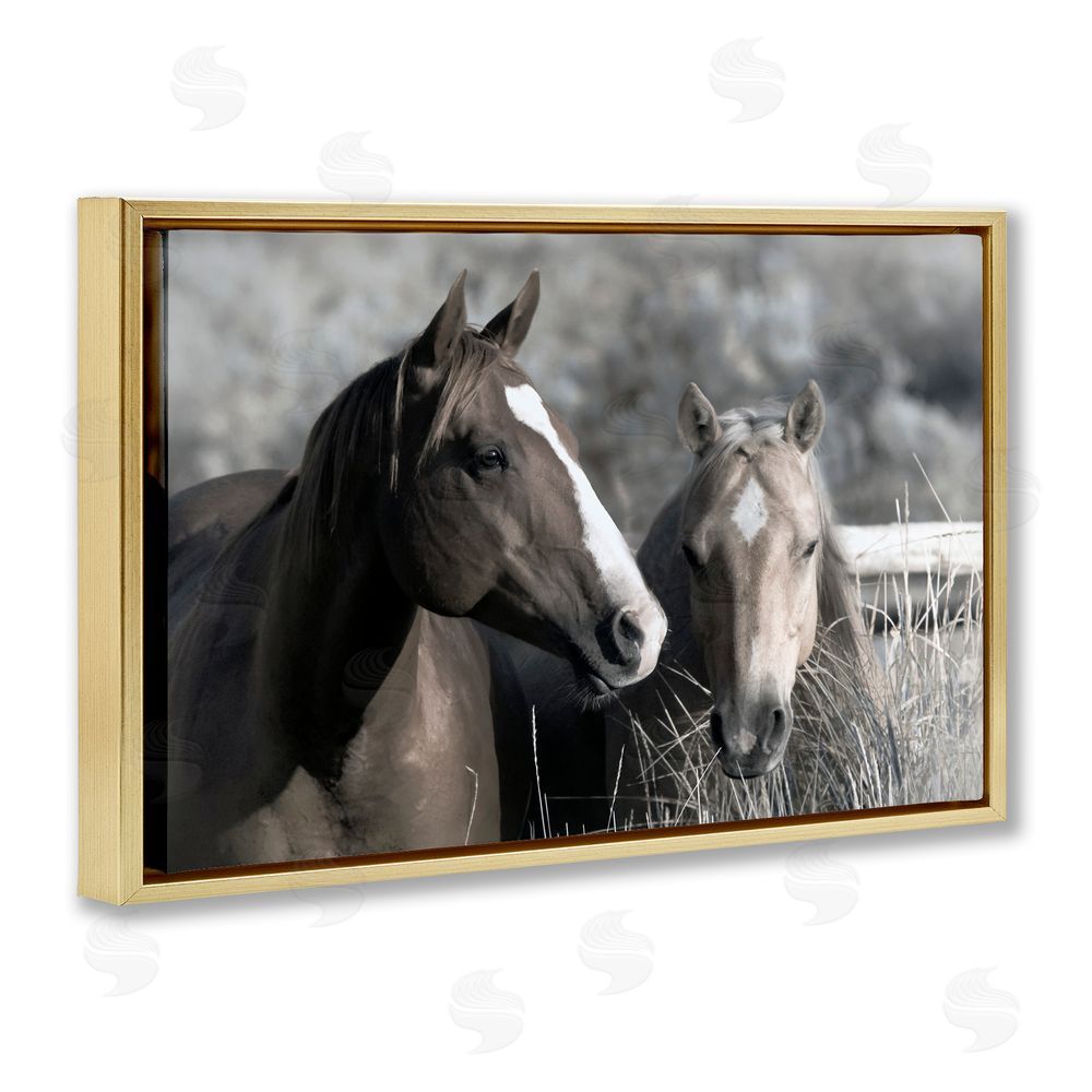 Danita Delimont Content Horses In Pasture Gold Floating Frame Canvas Wall Art Print