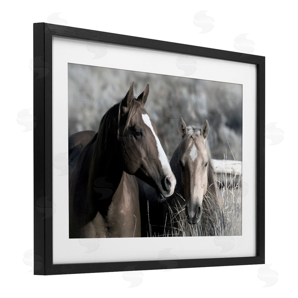 Danita Delimont Content Horses In Pasture Black Framed Print Under Glass Wall Art