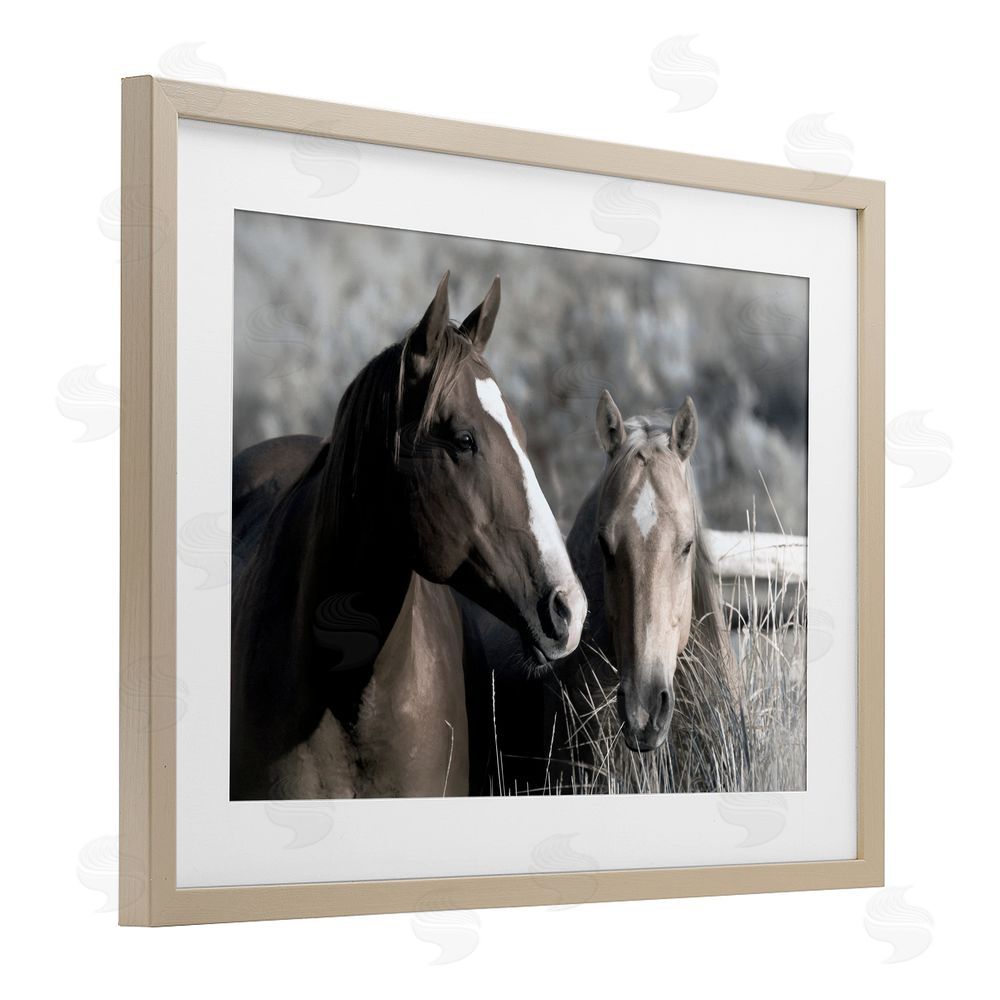 Danita Delimont Content Horses In Pasture Brown Framed Print Under Glass Wall Art