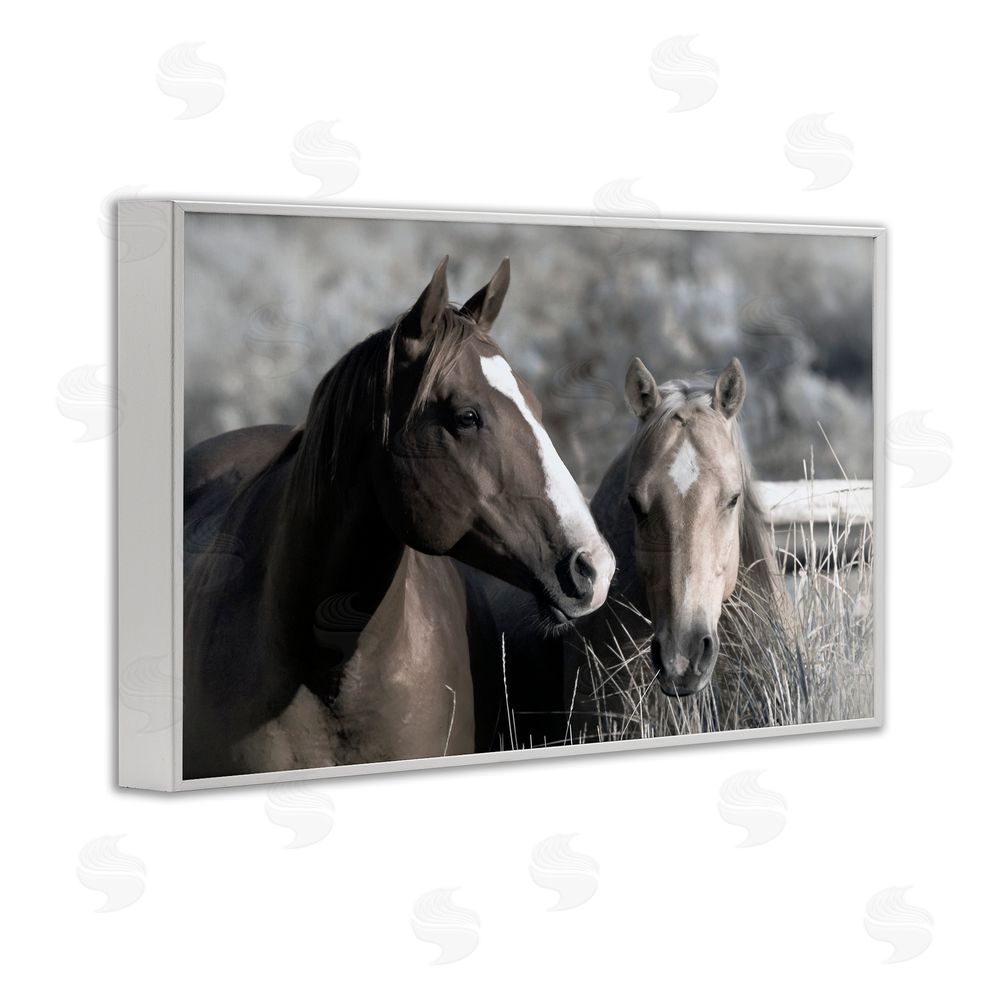Danita Delimont Content Horses In Pasture White Framed Giclee Wall Art Print
