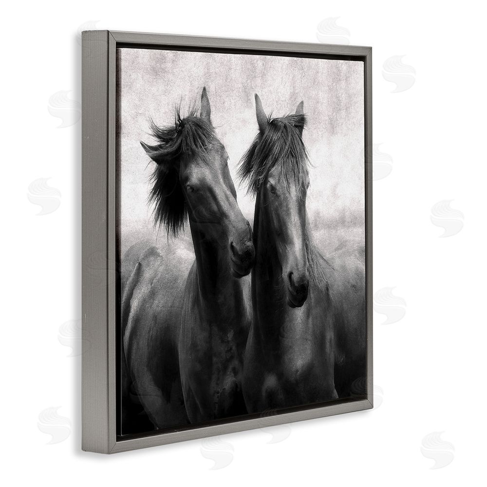 Lars Van de Goor Short Haired Horse Pair Gray Floating Frame Canvas Wall Art Print