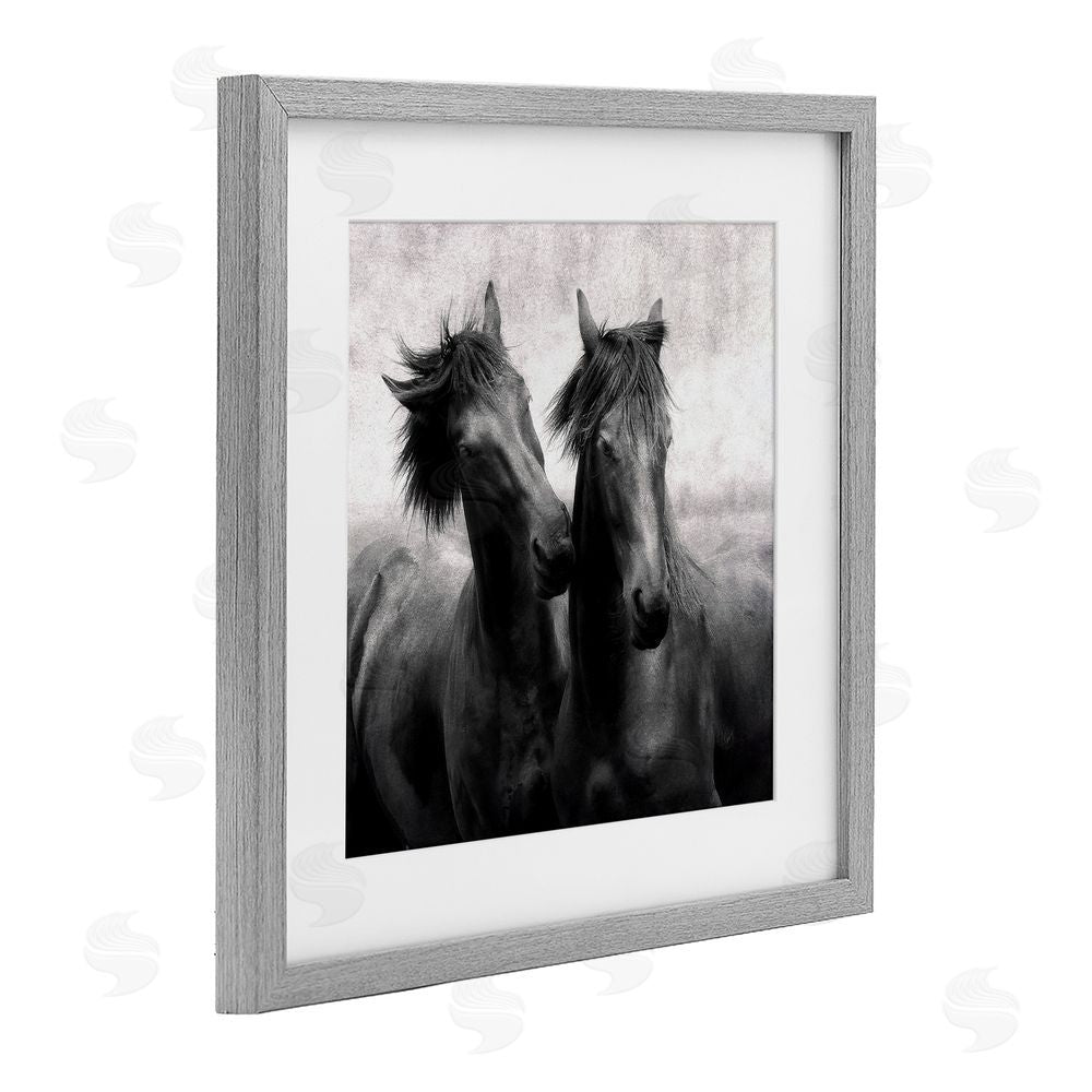 Lars Van de Goor Short Haired Horse Pair Gray Framed Print Under Glass Wall Art